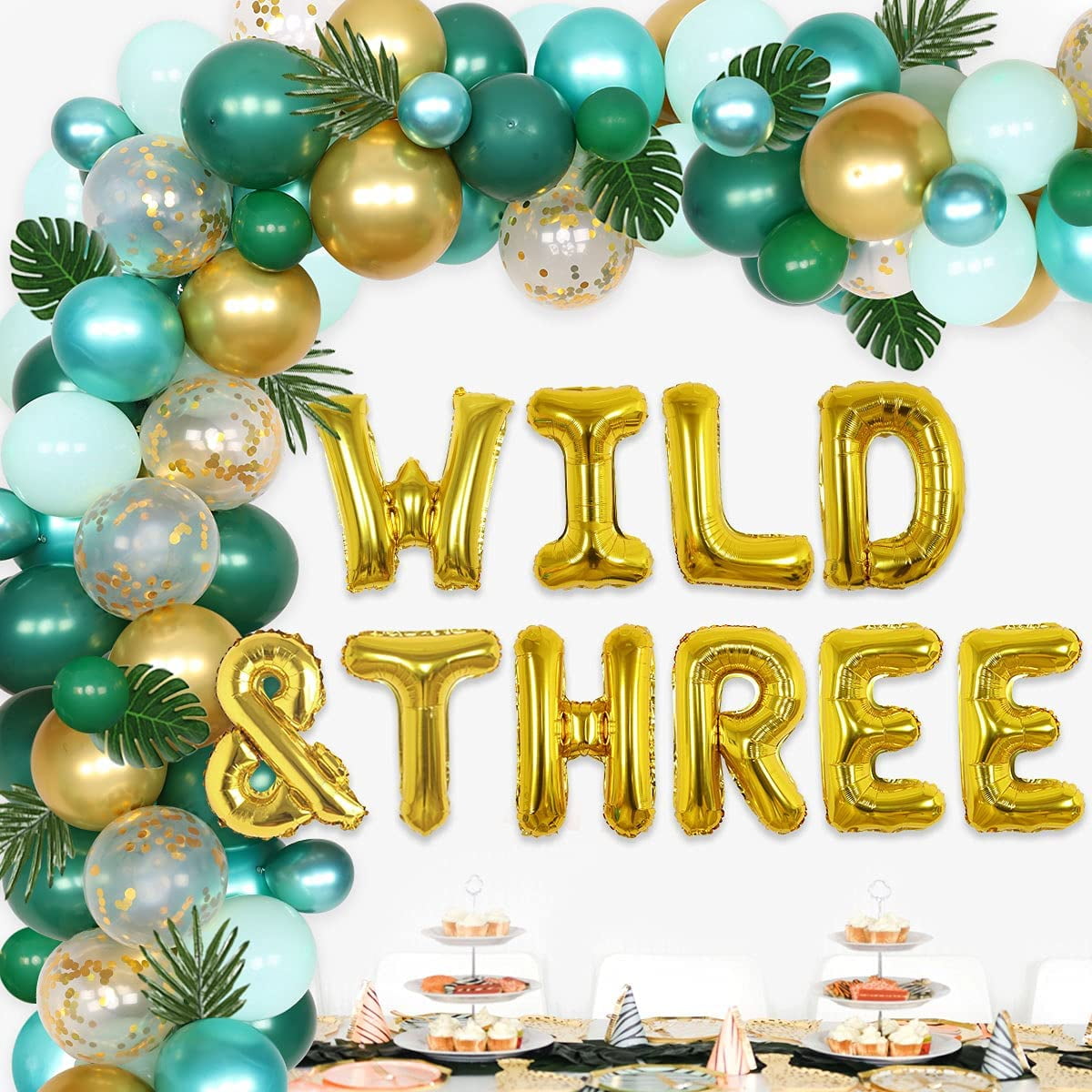 Jungle Theme 3rd Birthday Decorations Wild and Three Party Decorations