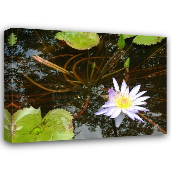 Dana Underdahl 24x19 Gallery Wrapped Canvas Wall Art Titled - Violet Water Lily III