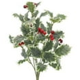 thumbnail image 3 of Ashland Christmas Bush, 3 of 3