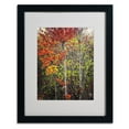 thumbnail image 3 of Trademark Fine Art "Color Touch" Canvas Art by Philippe Sainte-Laudy, Black Frame, 3 of 4