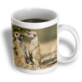 

3dRose Namibia Keetmanshoop Meerkat Namib Desert mongoose-AF31 PSO0159 - Paul Souders Ceramic Mug 11-ounce