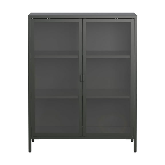 Benzion 39.96-inch Black Two Door Metal Storage Cabinet with Clear Doors