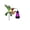 A #123, variant on Hummingbird Solar Lantern Stake,Color Changing LED Bird Lights for Outdoor Garden Decor,Auto Dusk-to-Dawn Landscape Lighting for Patio Path