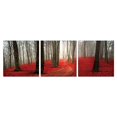 thumbnail image 1 of Furinno Triptych Mural pour Photographie, Forêt d'Aube, Ensemble de Trois, 1 of 1