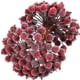 thumbnail image 1 of Bayas artificiales de acebo de doble cabeza para decoración de fiesta, miniestambre de cereza de simulación, esmerilada, para boda y Navidad, 100/20 piezas, 1 of 4