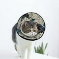 thumbnail image 1 of Flowers Floral Soft Cat Dog Recovery Collar Adjustable Cat Cone Wound Healing Protective After Surgery for Large/Medium/Small Dogs Cat, 1 of 7