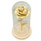thumbnail image 5 of Regalos románticos de rosas encantadas, rosa en cúpula de cristal y rosa roja que iluminan la tecnología innovadora de la rosa eterna, 5 of 8