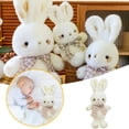 thumbnail image 2 of Hearth & Gear Rabbit Doll Series Rabbit Doll Machine Doll High Grade Machine Doll Toys, 2 of 7