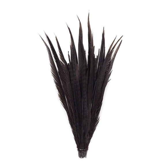 Zucker Feather Products Assorted Pheasant Tails Dyed - 16x30" - Brown