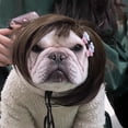 thumbnail image 6 of Funny Straight Pet Wig, Black Brown Cosplay Hair Wig for Dog Cat, Holiday Fancy Dress Costume, Halloween Christmas Party Photo Props, Suitable for Small Medium Large Dogs, 6 of 8