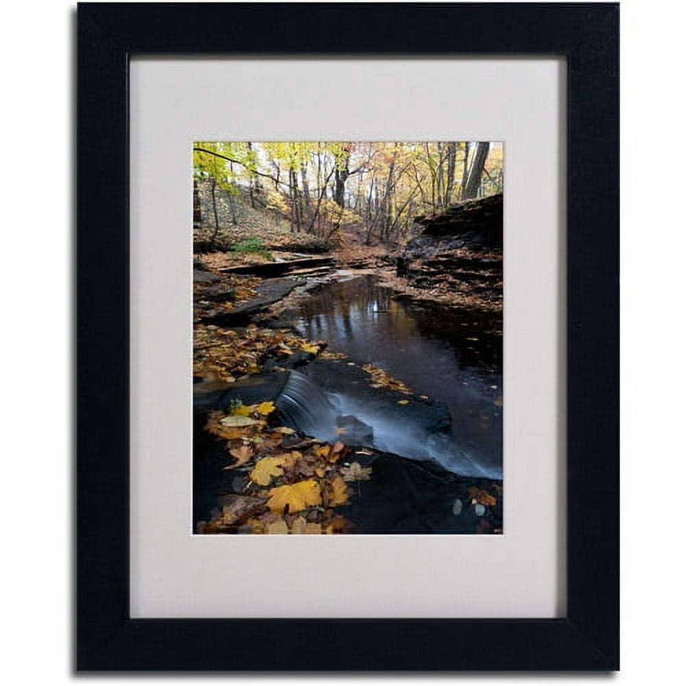 Trademark Fine Art "Autumn Stream" Canvas Art by Kurt Shaffer, Black Frame