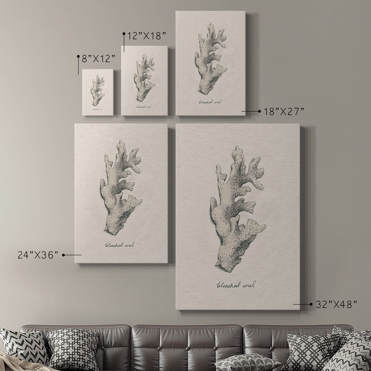 Shore Treasure Study II Premium Gallery Wrapped Canvas - Ready to Hang