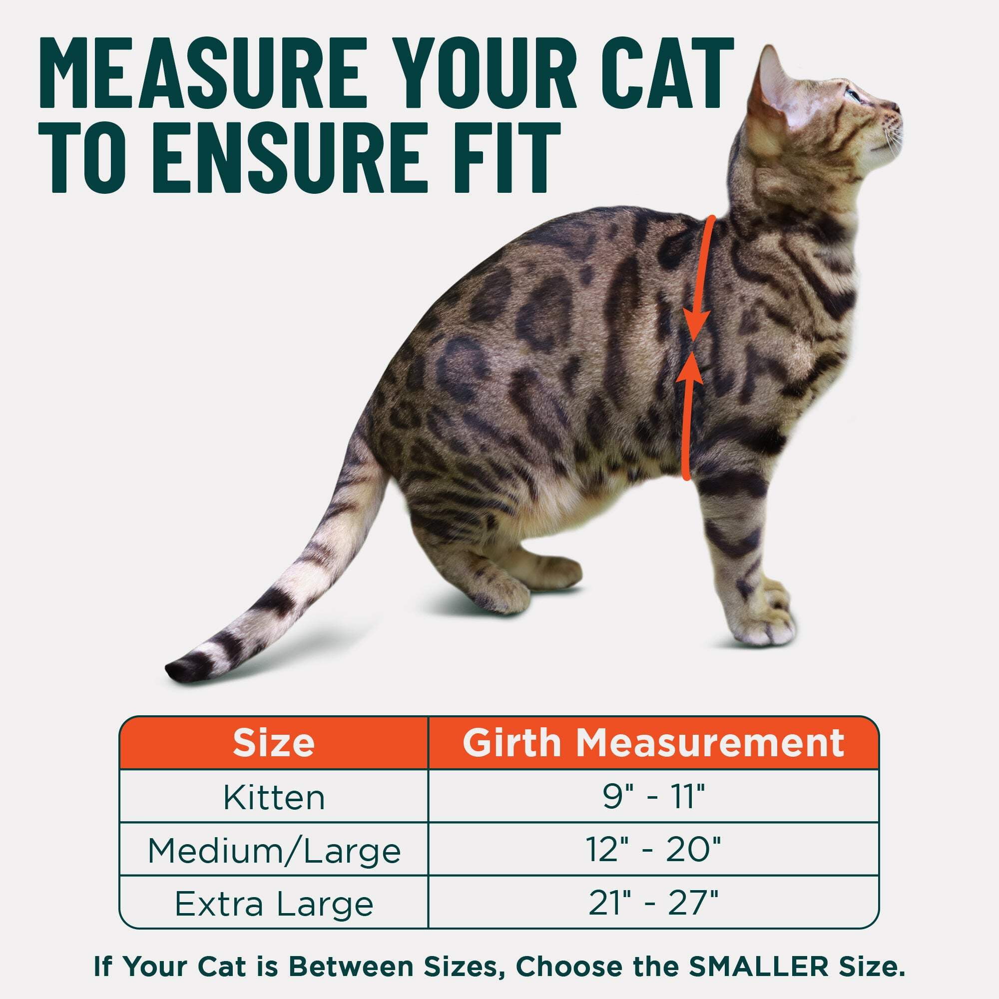 Houdini™ Escape Proof Cat Harness