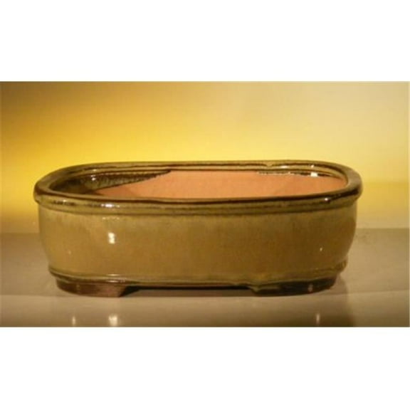 10 x 8 x 3.125 in. Ceramic Bonsai Pot, Olive Green - Rectangle
