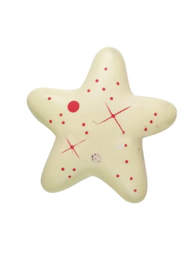 starfish squishy