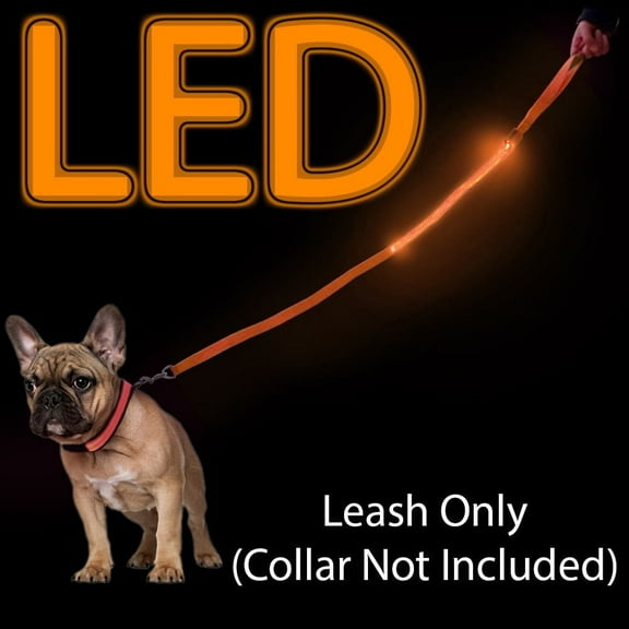 Orange 4 Foot Illuminated LED Pet Leash - Recharged via USB (Charger Included)