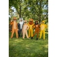 thumbnail image 6 of Boy's Disney The Lion King Mufasa Costume, 6 of 9