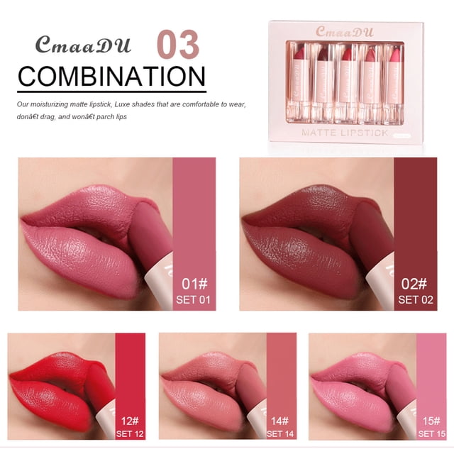 FcBaudy Rouge à Lèvres pour Femmes, Encre à Lèvres, Brillant à Lèvres Semi-Mat Hydratant - Rouge à Lèvres Mat Ensemble de Brillant à Lèvres Brillant à Lèvres
