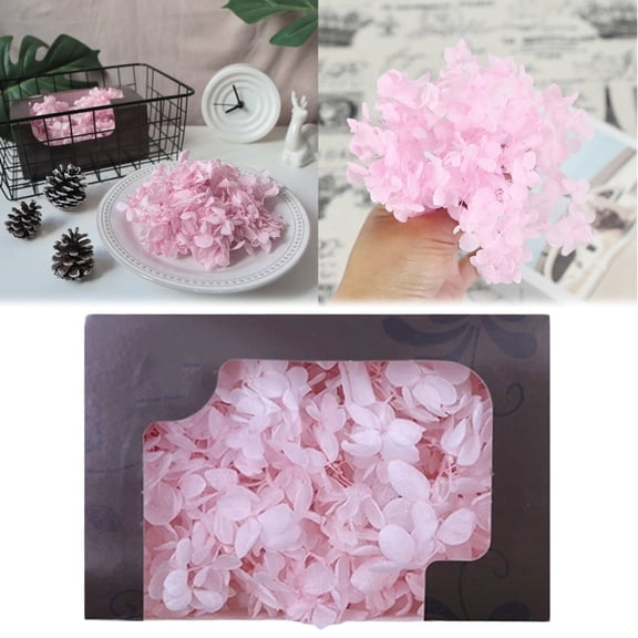 Artificial flowers,1 Box Preserved Dried Rose Flower Petals Valentine Day DIY Wedding Decor Preserved Fresh Flower