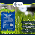thumbnail image 5 of Supply Solutions Ammonium Sulfate Plant Food - Ideal for Winter Fertilizer - for Deep Green Plants Acid Loving Plants (5 Pounds), 5 of 9