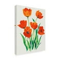 thumbnail image 2 of Tim OToole 'Red Tulips In Bloom I' Canvas Art, 2 of 3