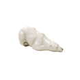 thumbnail image 1 of Polar Bear Figurine de Sieste, 1 of 1