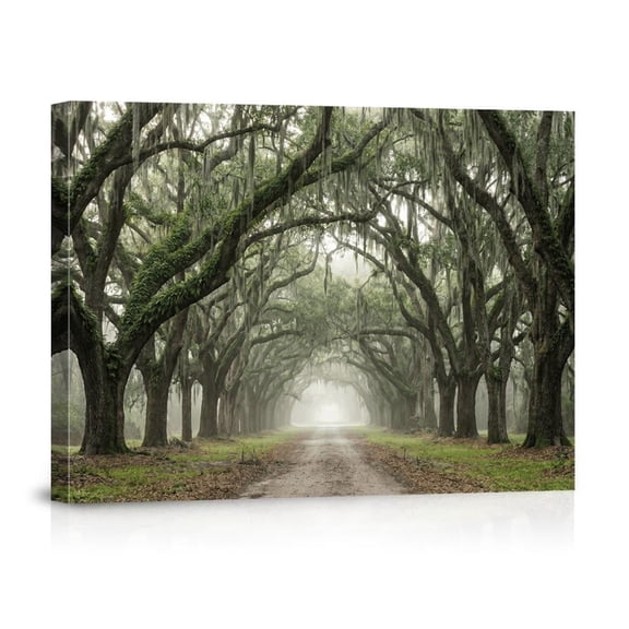Misty Southern Live Oak Tree Avenue Wall Art Art Spanish Moss Landscape Photography Tree Tunnel Print Nature Wall Decor Art, Unframed Paper Print