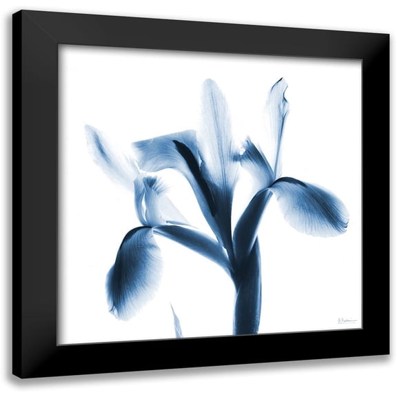 Koetsier, Albert 12x12 Black Modern Framed Museum Art Print Titled - Le Flur Indigo