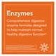 thumbnail image 4 of NOW FOODS ENZIMAS DE PAPAYA MASTICABLES 360 PASTILLAS, 4 of 8