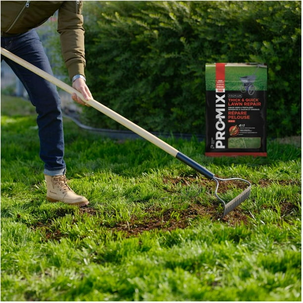 Premium Thick and Quick Lawn Repair 8 kg