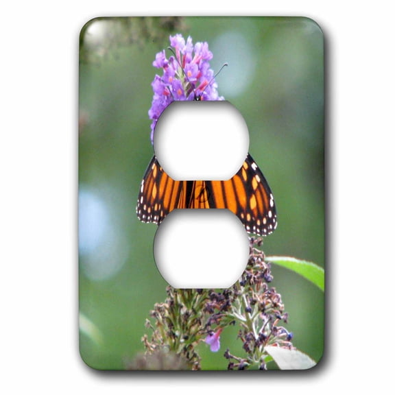 3dRose, Butterfly Flowers Monarch Orange Purple, 2 plug outlet cover