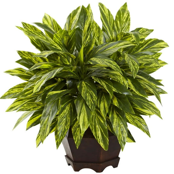 Nearly Natural Tradescantia with Black Hexagon Planter in Green