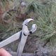 thumbnail image 2 of Gardening Branch Shears Scissors Lightweight Portable Planting Flower Tool for Flowers Plants Tree, 2 of 3