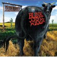 thumbnail image 1 of Blink 182 - Dude Ranch (vinyl), 1 of 1