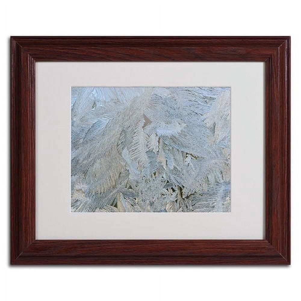 Trademark Fine Art "Frost Pattern #5" by Kurt Shaffer, Wood Frame