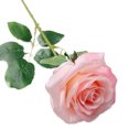 thumbnail image 1 of Bangcool Faux Single Rose Decorative Simulated Artificial Rose Stem Silk Rose for Wedding, 1 of 10