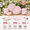 Pink-Service for 4(12Pcs), variant on 24-piece Stoneware Dinnerware Set For 8 Plates And