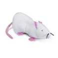 thumbnail image 3 of SmartyKat Rat Pack Jumbo Catnip Toy, 3 of 4