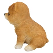Hi-Line Gift Ltd. Pomeranian Puppy