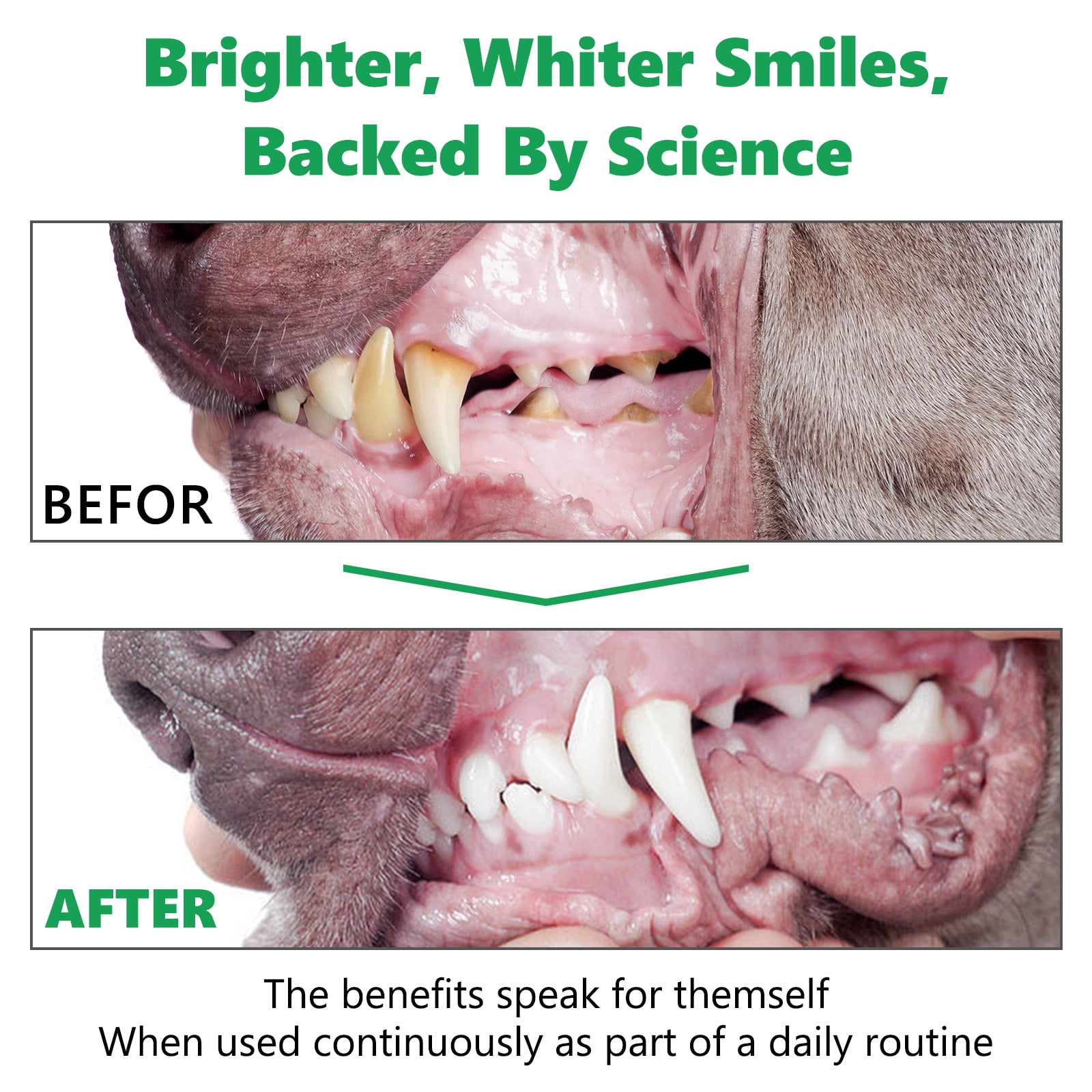 Oimmal Dog Teeth Cleaning Powder, Dog Breath Freshener, Dog Tartar Remover for Teeth with Probiotics, 120g*2 Pack