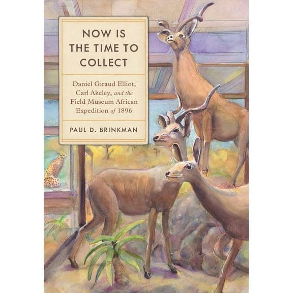 Now Is the Time to Collect: Daniel Giraud Elliot, Carl Akeley, and the Field Museum African Expedition of 1896, (Paperback)