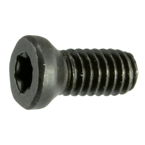 #6-40 x 1/4" Black Oxide T-10 Star Drive Weaver Oval Head Gun Screws (12 pcs.)