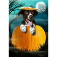 thumbnail image 2 of America Forever Halloween Dog Garden Flags 12 x 18 Double Sided Vertical for Outdoor, Yard, Porch, Halloween Pumpkin Garden Flag, Halloween Decorations Outdoor Puppy, 2 of 5