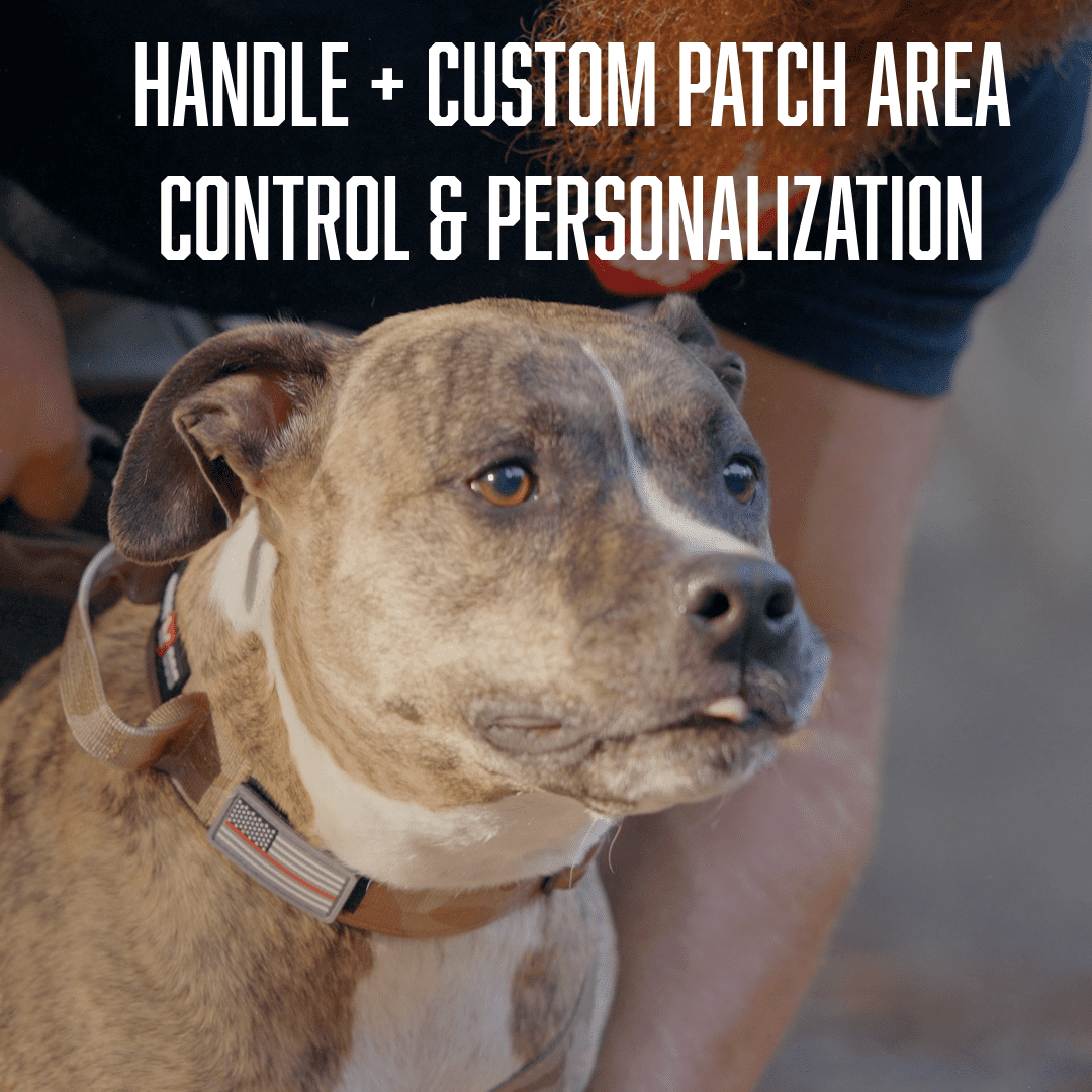 Boss Dog Tactical Collar, Tan Camo, X-Large