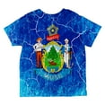 thumbnail image 2 of Maine Vintage Distressed State Flag All Over Toddler T Shirt Multi 4T, 2 of 2