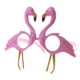 thumbnail image 1 of Novedad de terre Fmingo de Disfraz Unisex Disfraz Disfraz Cóctel Party Disfraces, 1 of 7