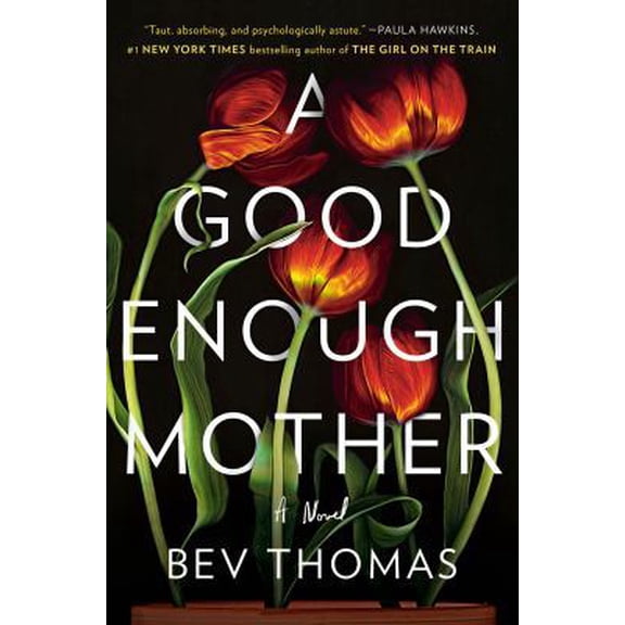 Pre-Owned A Good Enough Mother (Hardcover) 0525561250 9780525561255