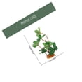 thumbnail image 2 of KAKOWELY De Planta Falsa Para De Reptiles Con Material Y Resistente, 2 of 8
