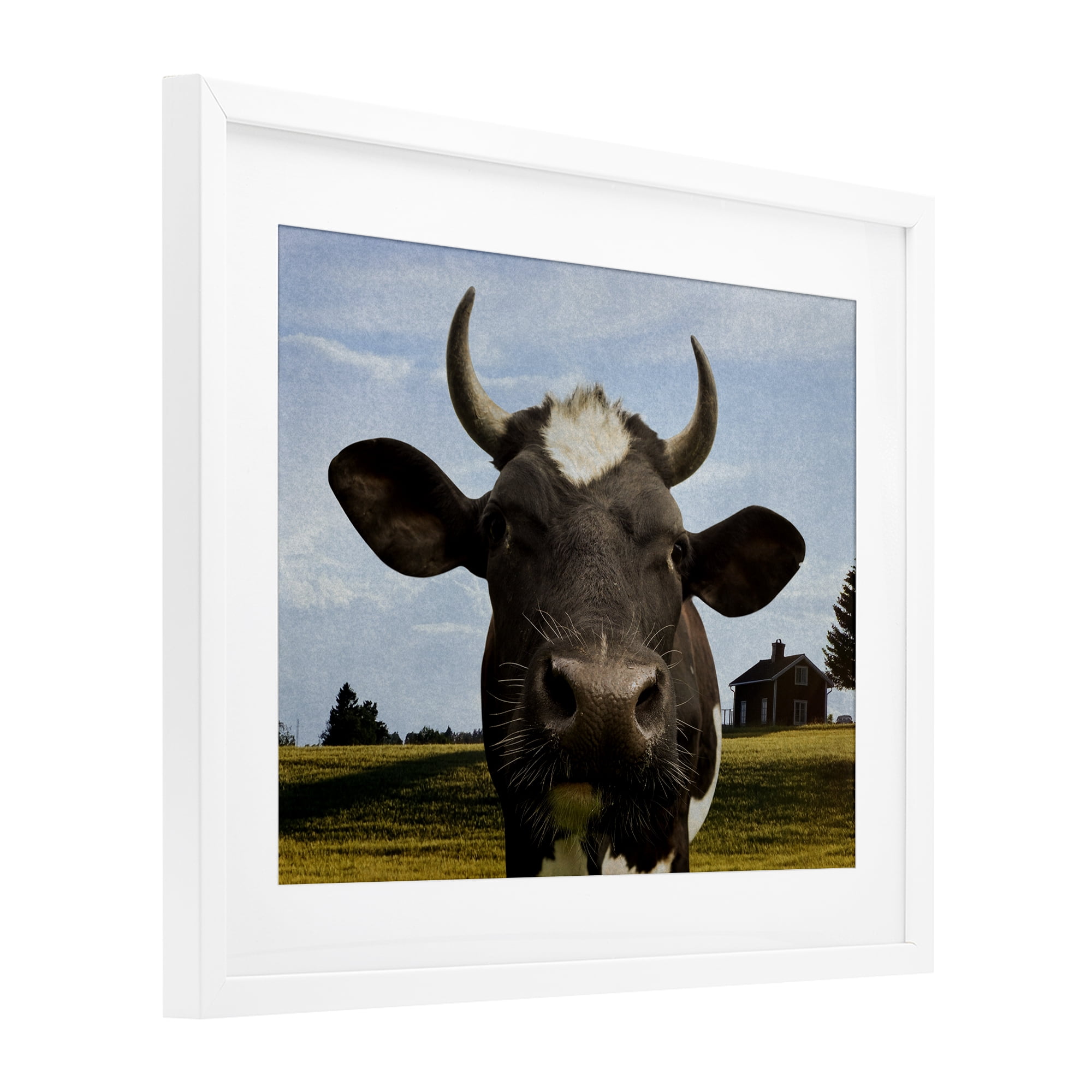 Stupell Industries Farm Cow with Curved Horns White Framed Print Under Glass, design by Marcus Prime