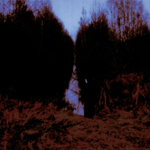 Opeth - My Arms Your Hearse - Music & Performance - CD